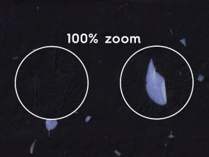 20 Blue Petals Black Paper Textures CG Textures
