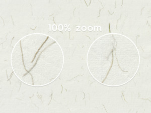 14 Palm Fibers Paper Textures CG टेक्स्चर्स