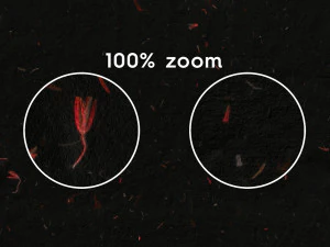 10 Red Flowers Black Paper Textures CG Textures