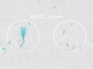 10 Blue Flowers Paper Textures CG Textures