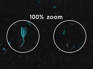 10 Turquoise Flowers Black Paper Textures CG Textures