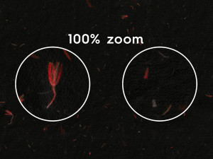 10 Red Flowers Black Paper Textures Texturas CG