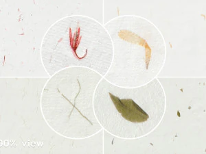10 Floral Rice Paper Textures CG Textures