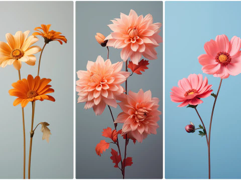 120 Flowers Poster Illustration Backgrounds CG Textures