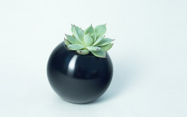 sfera planter Model do druku 3D .c4d .max .obj .3ds .fbx .stl .blend 