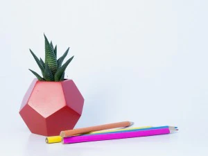 dodecaedro planter 3D Print Model