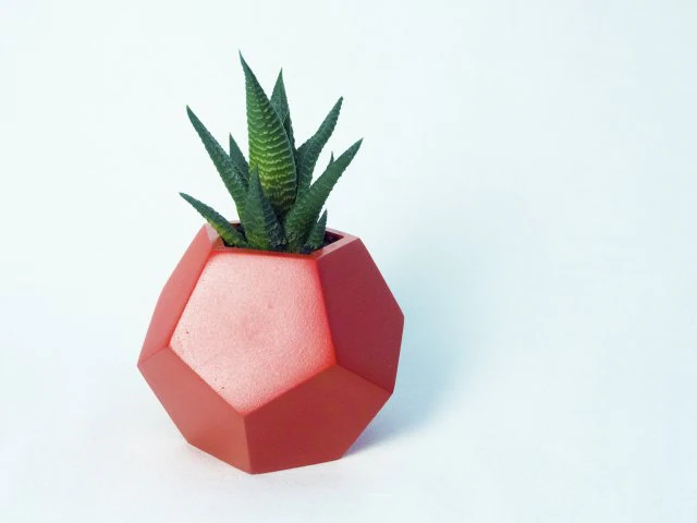 dodecaedro planter 3D Print Model .c4d .max .obj .3ds .fbx .stl .blend 