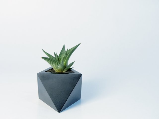 octaedro planter 3D Druckmodell .c4d .max .obj .3ds .fbx .stl .blend