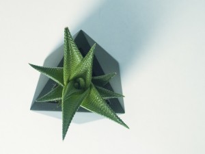 octaedro planter 3D Print Model