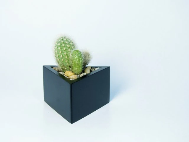 prisma planter 3D Print Model .c4d .max .obj .3ds .fbx .stl .blend 