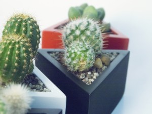prisma planter 3D Print Model