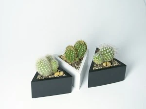 prisma planter 3D Print Model