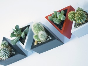 prisma planter 3D Print Model