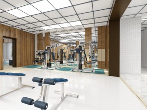 gym Modelo 3D