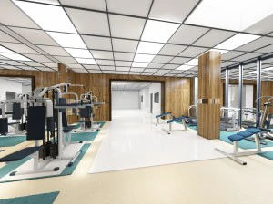 palestra Modello 3D
