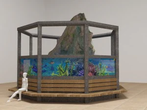 aqua 3D Model