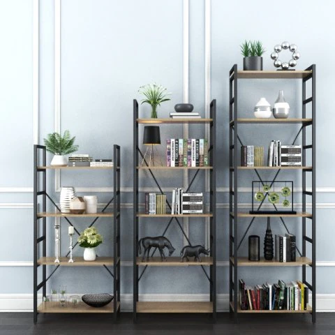 bookcase 3D Model .c4d .max .obj .3ds .fbx .stl .blend 