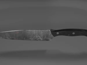 master knife 3D Model
