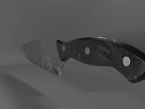 master knife 3D Model