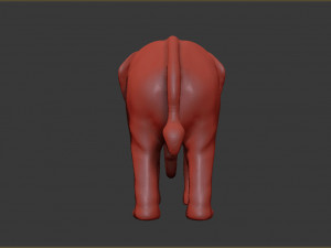 asian elephant 3D Print Model