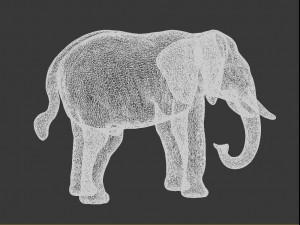 asian elephant 3D Print Model