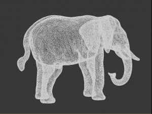 asian elephant 3D Print Model