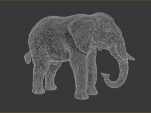 asian elephant 3D Print Model
