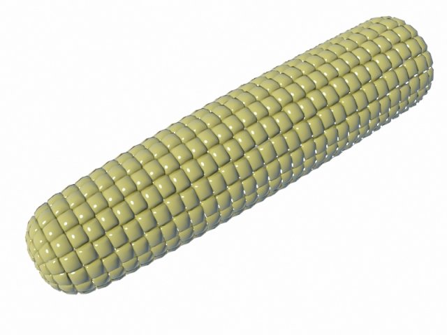 corn 3Dモデル .c4d .max .obj .3ds .fbx .stl .blend 