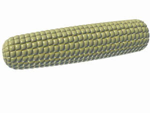 corn 3Dモデル