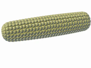 corn 3D Model
