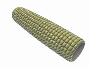 corn 3Dモデル