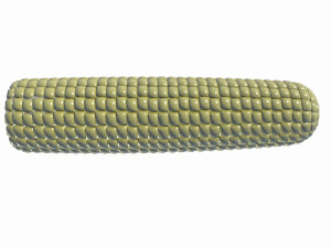 corn 3Dモデル