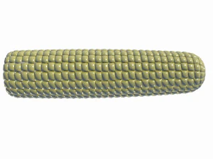 corn 3D Model