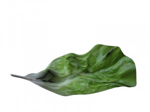 lettuce leaf 3D 프린트 모델