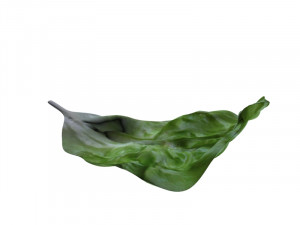lettuce leaf 3D 프린트 모델