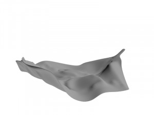 lettuce leaf 3D 프린트 모델