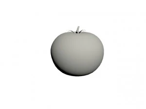 tomato 3D Print Model
