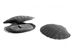 shell in pearl Modelo 3D