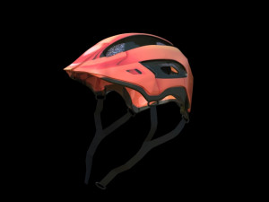 bicycle-helmet 3D 模型