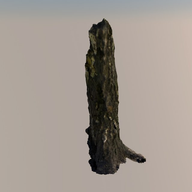 broken tree trunk 3D Модель .c4d .max .obj .3ds .fbx .stl .blend 