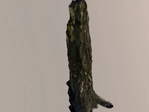 broken tree trunk 3D Model