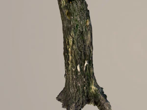 broken tree trunk 3D Model