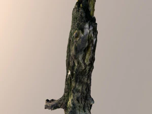 broken tree trunk 3D Model
