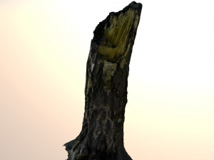 broken tree trunk 3D Модель