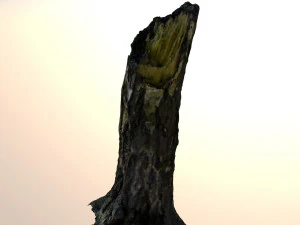 broken tree trunk 3D Model