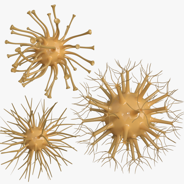 viruses 3D 모델 .c4d .max .obj .3ds .fbx .stl .blend 