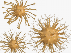 viruses 3D Model