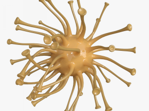 viruses 3D 모델