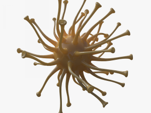 viruses 3D 모델