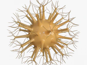 viruses 3D Model